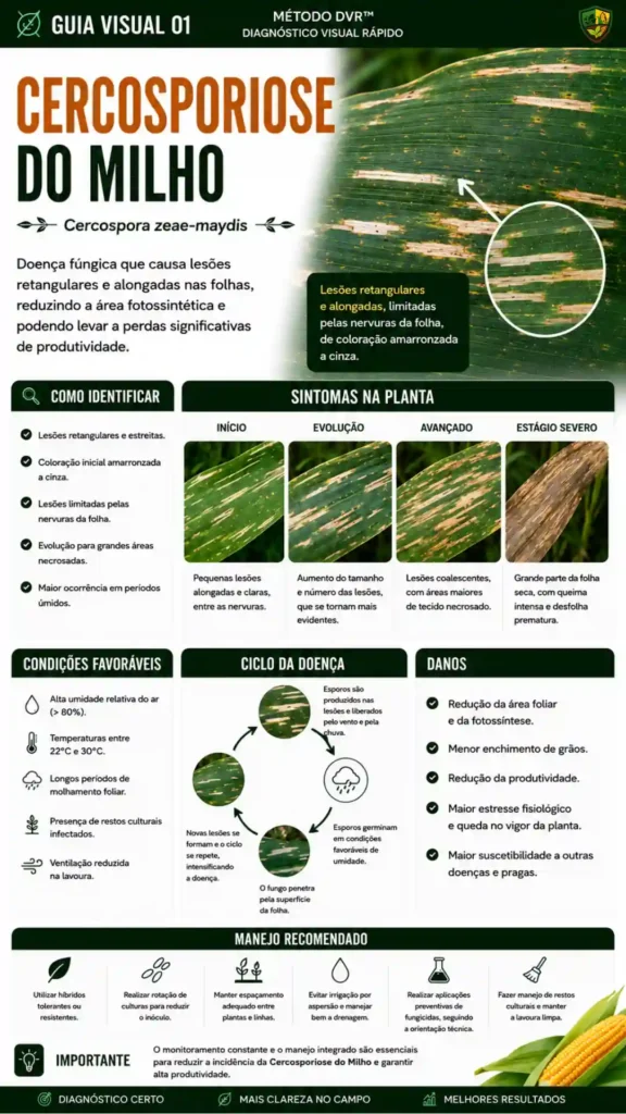 cercospora-1.webp