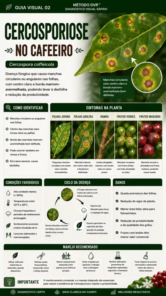cercospora.webp